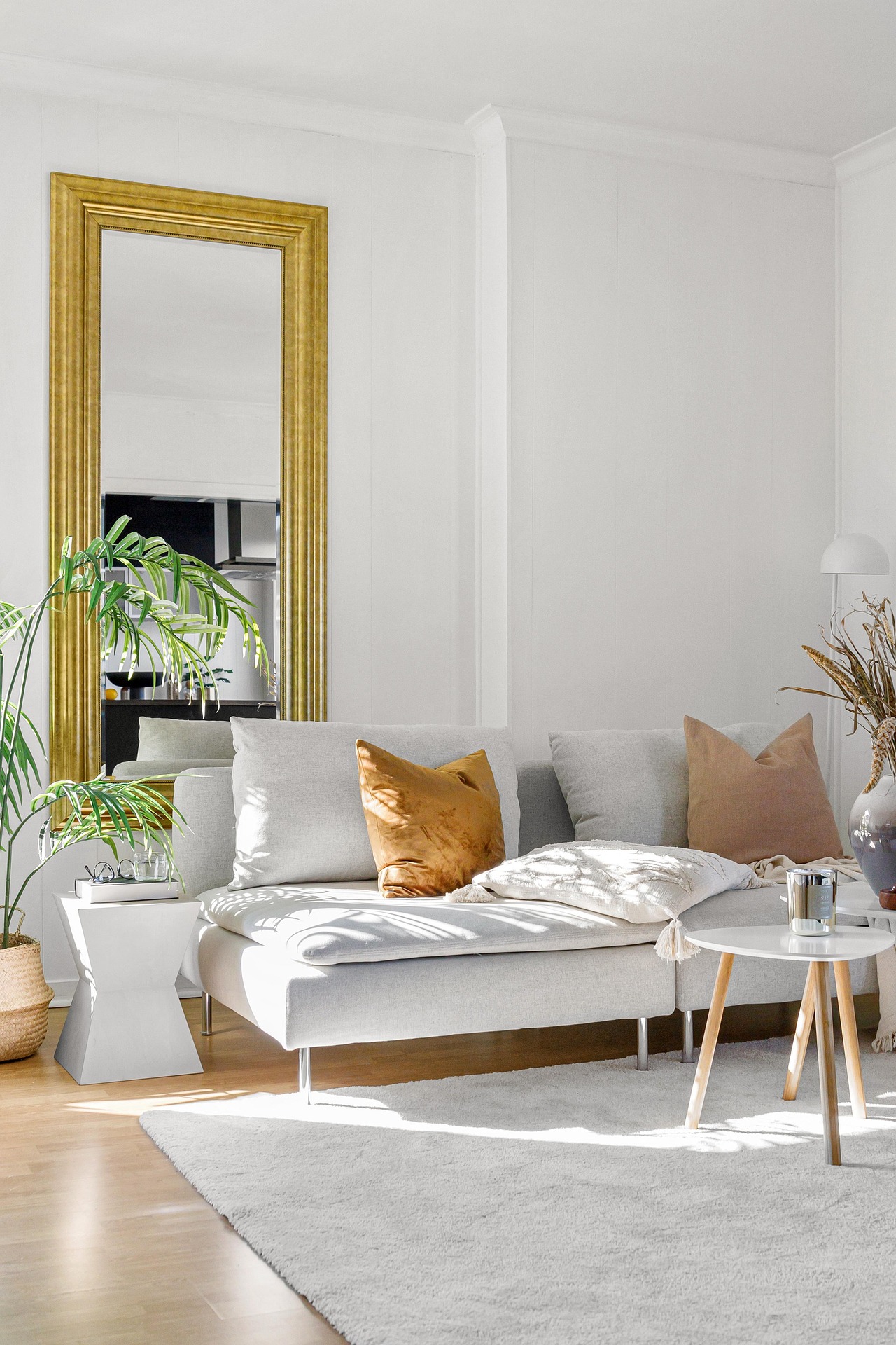 23555986 real estate 6893060 1920